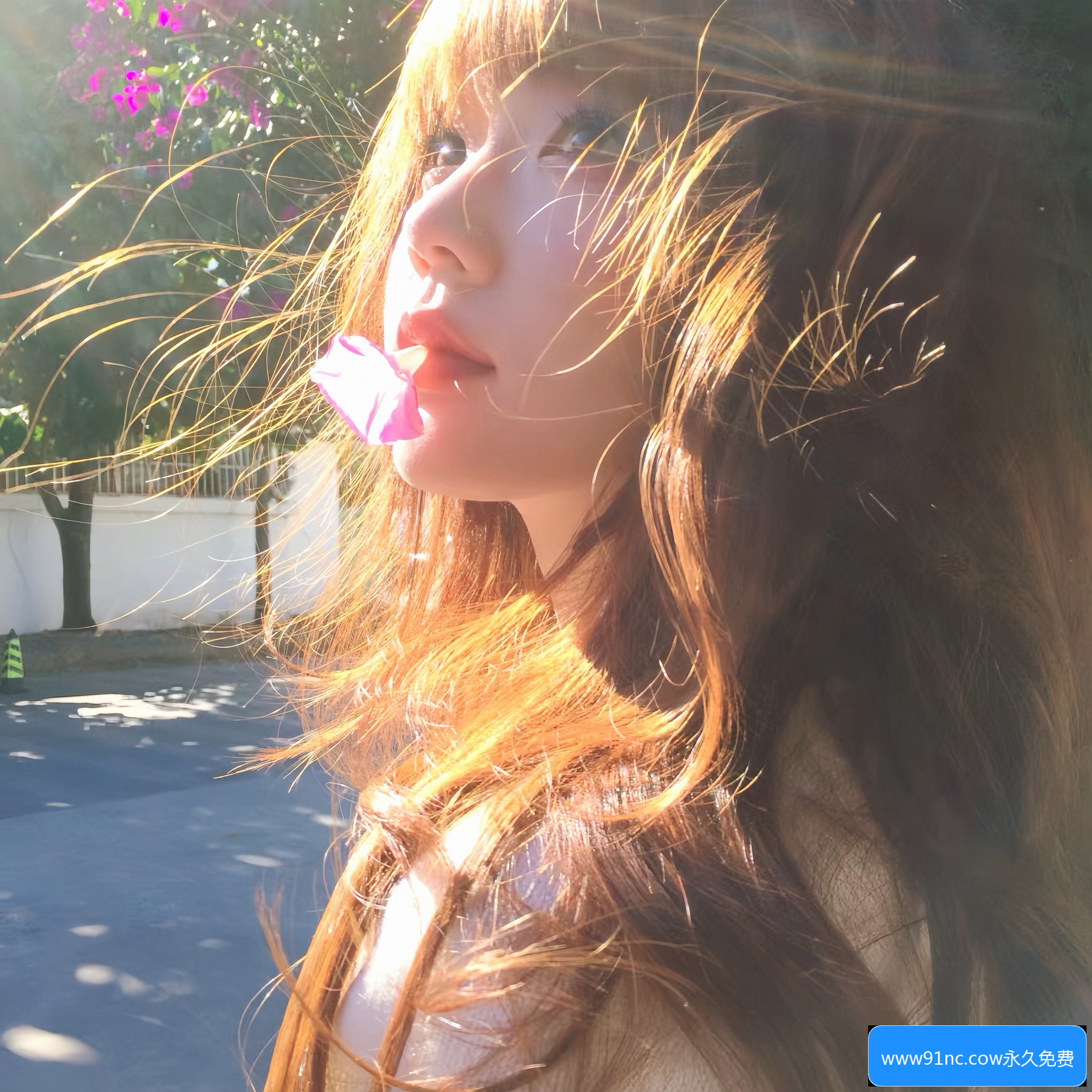 www91nc.cow永久免费