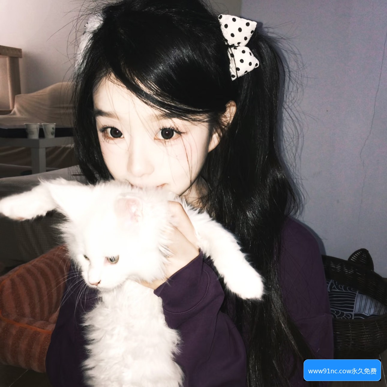 www91n官网有哪些功能和服务？使用前需要了解的注意事项