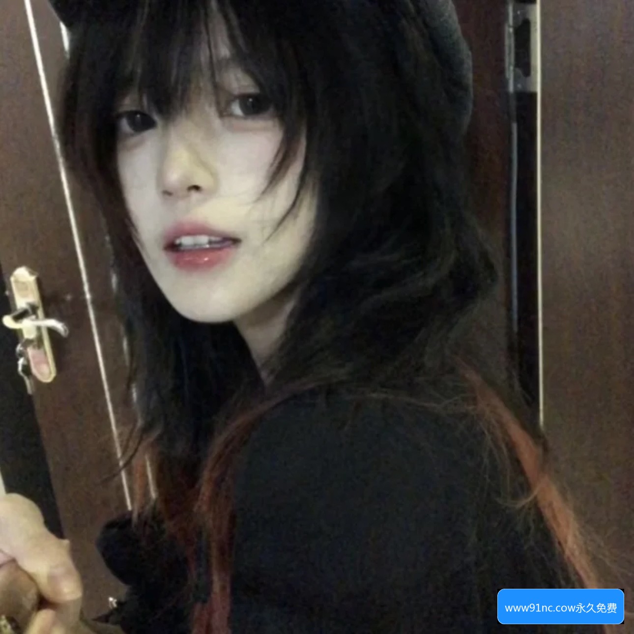 为什么www91nc.cow可以永久免费使用？背后有哪些值得了解的内容