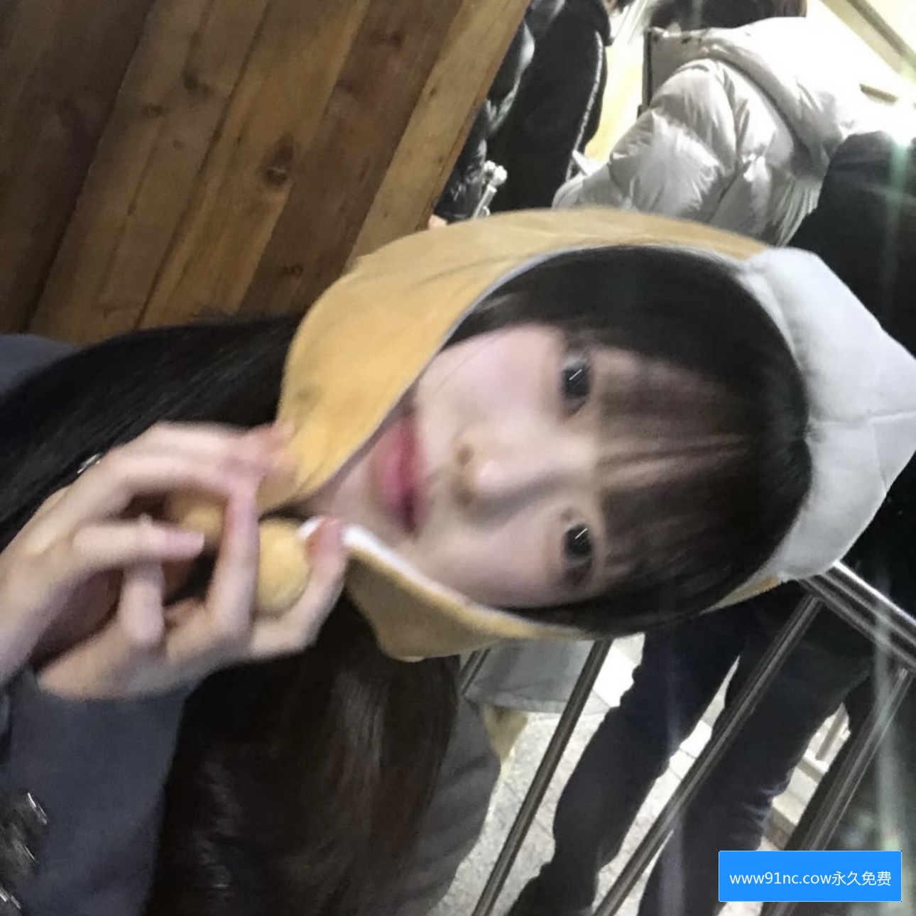 关于www91n.con网站的安全性和使用指南，你了解多少？