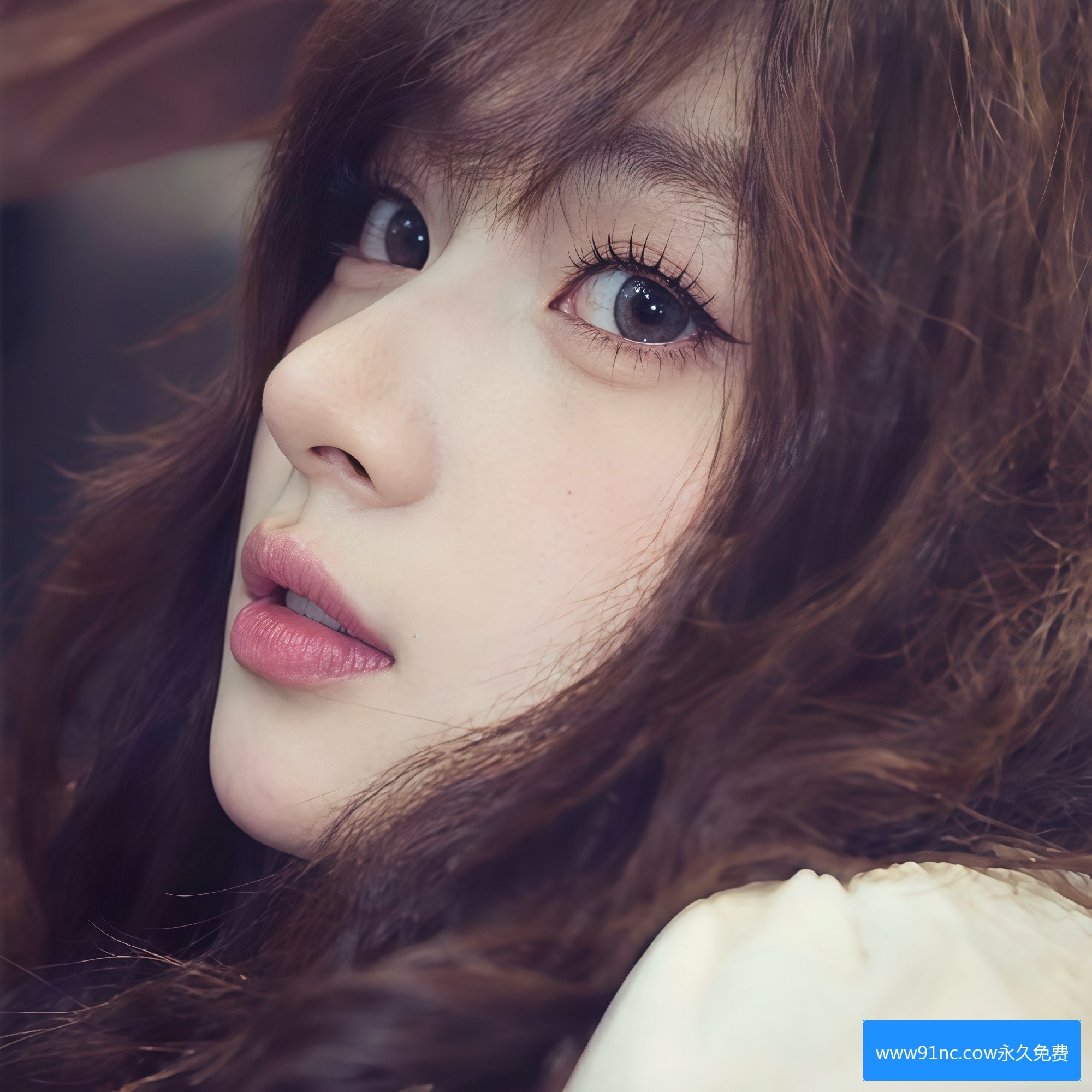 非法资源网站示意图